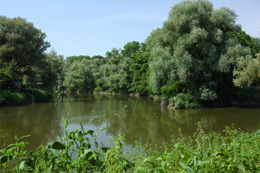 Splav rieky Morava